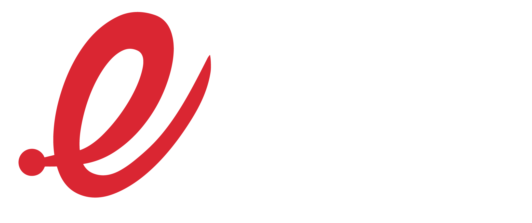 Efecto Digital